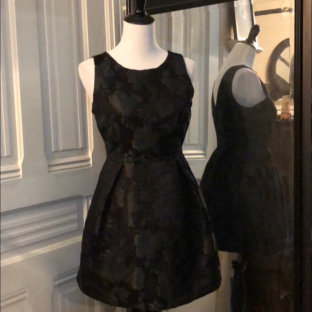 Velvet and satin fit and flare